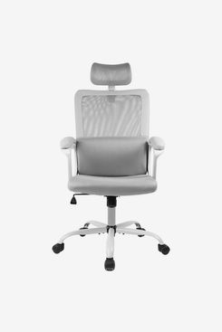 Andel task 2025 chair latitude run