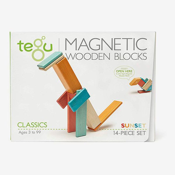 Tegu 14-Piece Magnetic Wooden Block Set