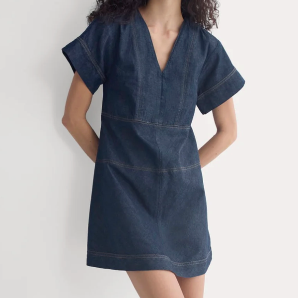 Everlane Denim Short-Sleeve Dress