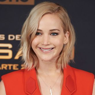 The Hunger Games: Mockingjay - Part 2' Madrid Photocall
