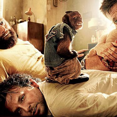 At the Hangover: Part II premiere, Crystal demonstrated her more feminine side in a lovely blush silk dress (with matching pantaloons). But stick this monkey in a studded jean vest, and she turns into a drug-running, dick-biting, never-Skype-ing hard-ass. Versatile!
