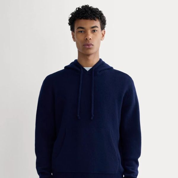 Everlane The Felted Merino Hoodie