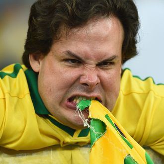 BELO HORIZONTE, BRAZIL - JULY 08: An emotional Brazil fan reacts after being defeated by Germany 7-1 during the 2014 FIFA World Cup Brazil Semi Final match between Brazil and Germany at Estadio Mineirao on July 8, 2014 in Belo Horizonte, Brazil. (Photo by Laurence Griffiths/Getty Images)