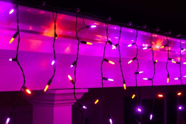 Wintergreen Lighting Purple and Orange LED String Lights (70 Icicle Lights)