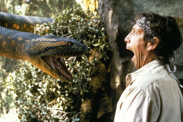 The 15 Best Snake Movie Moments Ever