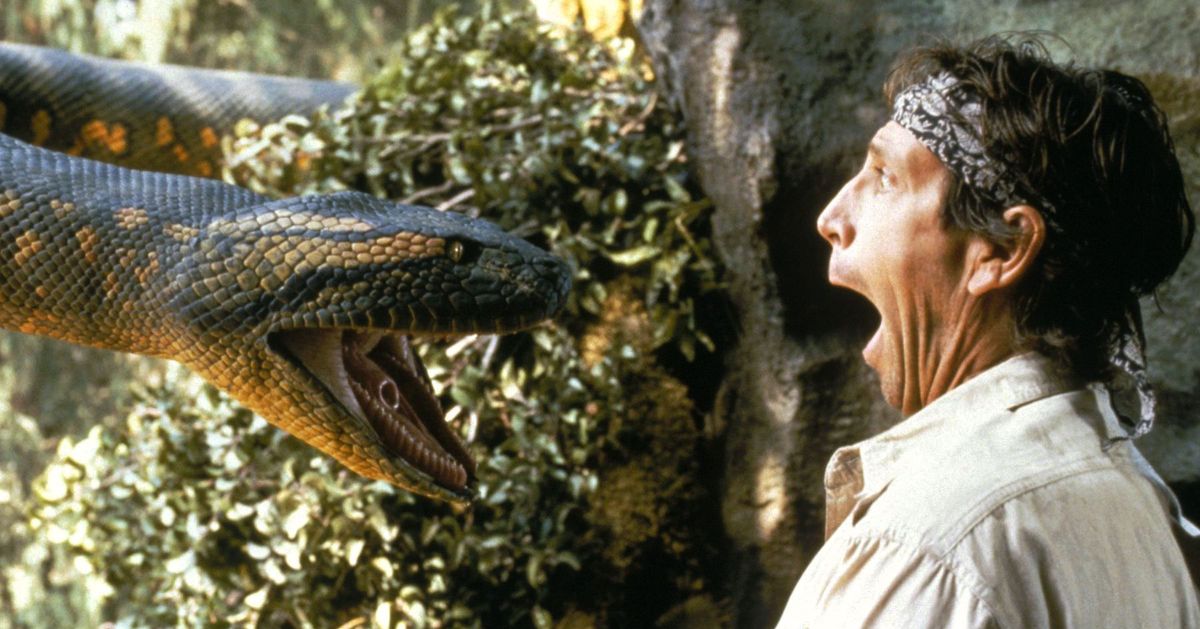Anaconda Snake Teeth