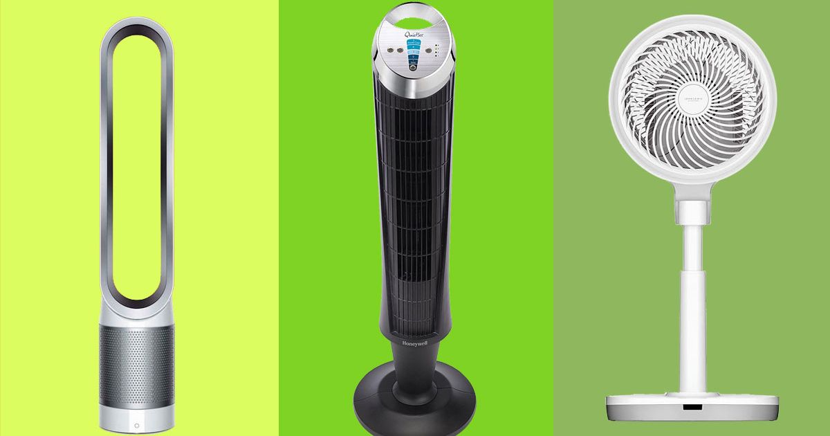 Best Fans 2022 The Strategist