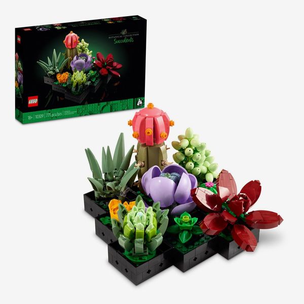 LEGO Icons Succulents