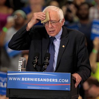 Bernie Sanders Holds Election Night Rally In West Virginia