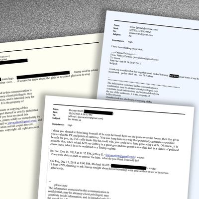 What Are the Big Takeaways From the Epstein Emails?