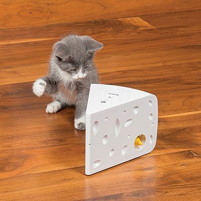 PetSafe SlimCat Meal-Dispensing Cat Toy, Great for Food or Treats