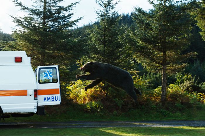 9a9d7ebd862ea579d6ce09b62bc75c6e3b-cocaine-bear-ambulance.rhorizontal.w700.jpg