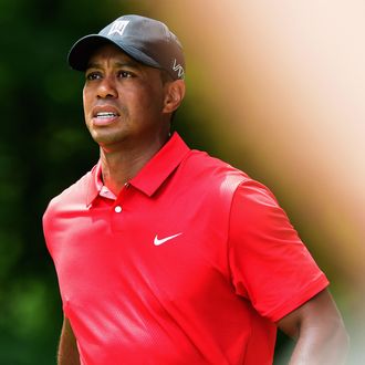 Tiger Woods Is Getting Really Good at Video Games While He Tries to ...