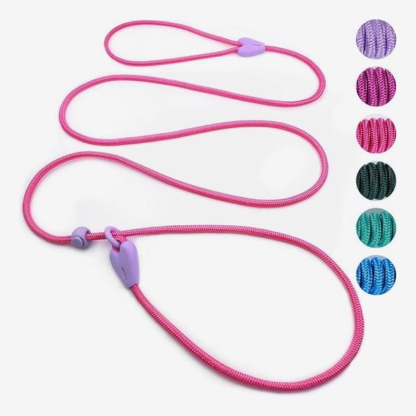 Viunimo Slip Lead Training Leash