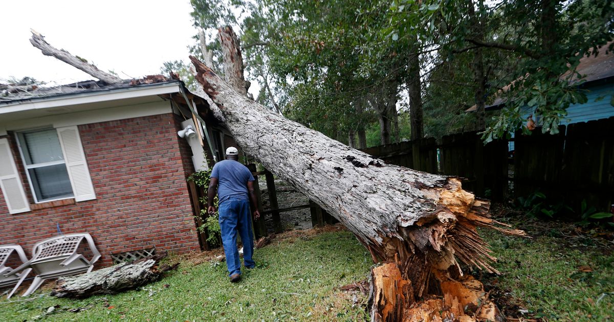 Hurricane Nate Weakens to Tropical Storm After Landfall