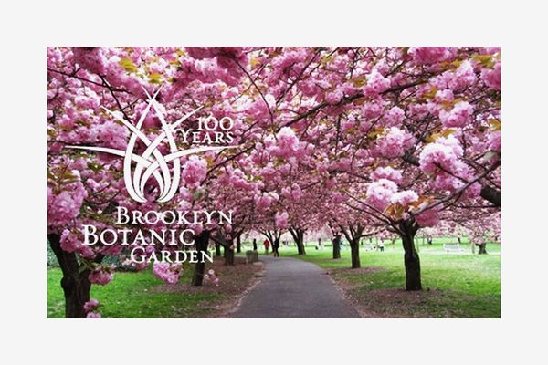 Brooklyn Botanic Garden Individual Membership