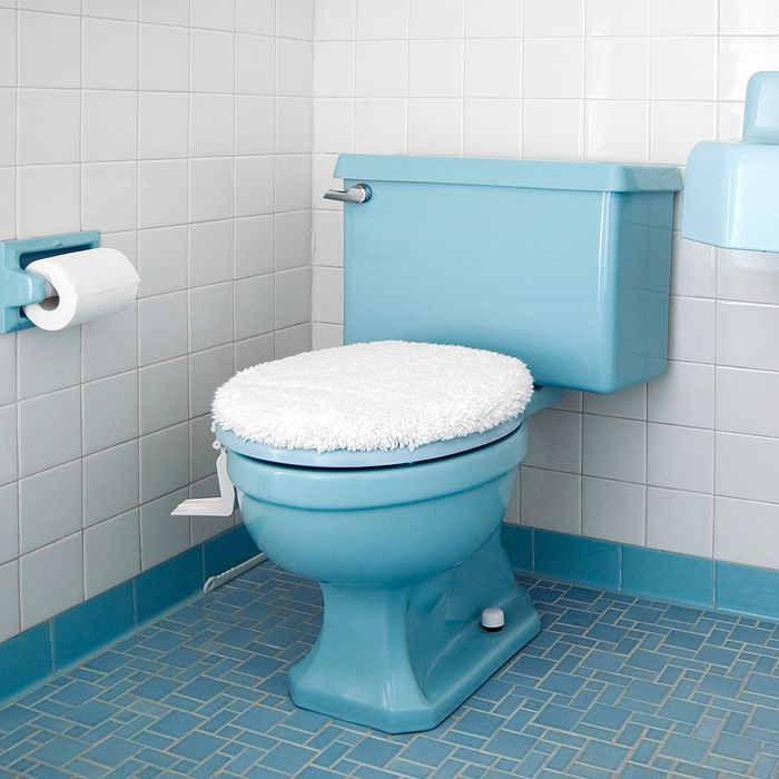 baby blue toilet seat