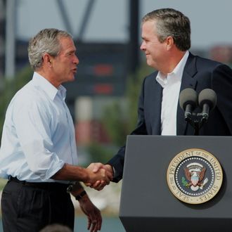 George W. and Jeb Bush.