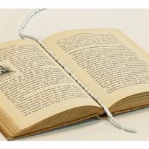 Conservation Resources String Weight
