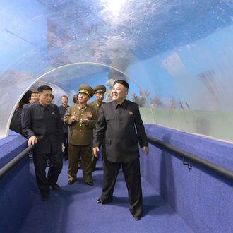 North Korean leader Kim Jong Un visits the Songdowon International Children's Camp, as its remodelling project nears completion, in this undated photo released by North Korea's Korean Central News Agency (KCNA) April 21, 2014. REUTERS/KCNA (NORTH KOREA - Tags: POLITICS SOCIETY) ATTENTION EDITORS - THIS PICTURE WAS PROVIDED BY A THIRD PARTY. REUTERS IS UNABLE TO INDEPENDENTLY VERIFY THE AUTHENTICITY, CONTENT, LOCATION OR DATE OF THIS IMAGE. THIS PICTURE IS DISTRIBUTED EXACTLY AS RECEIVED BY REUTERS, AS A SERVICE TO CLIENTS. NO THIRD PARTY SALES. NOT FOR USE BY REUTERS THIRD PARTY DISTRIBUTORS. SOUTH KOREA OUT. NO COMMERCIAL OR EDITORIAL SALES IN SOUTH KOREA - RTR3M2A4