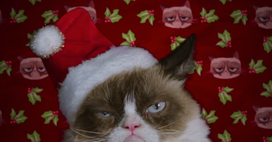 The Trailer for Grumpy Cat’s Worst Christmas Ever Is Here