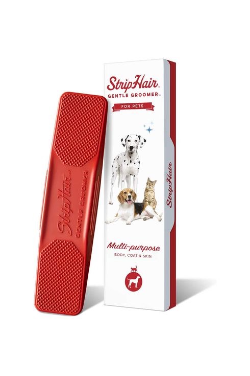 best cleaning products for dog owners