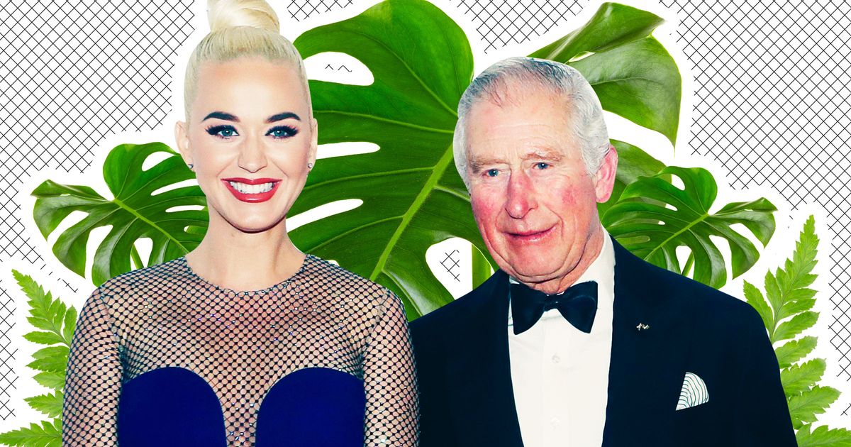 Prince Charles Asked Katy Perry to Sing to His Plants