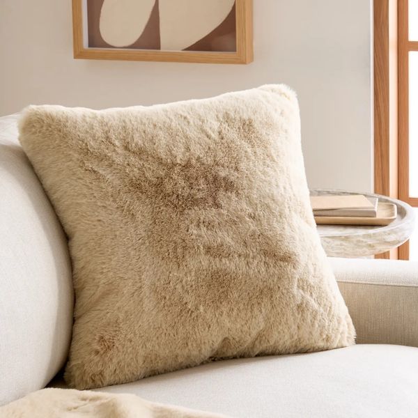 Quince Luxury Faux Fur Pillow Cover