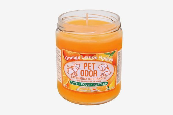 SPECIALTY PET PRODUCTS Pet Odor Exterminator Candle, Orange Lemon Splash