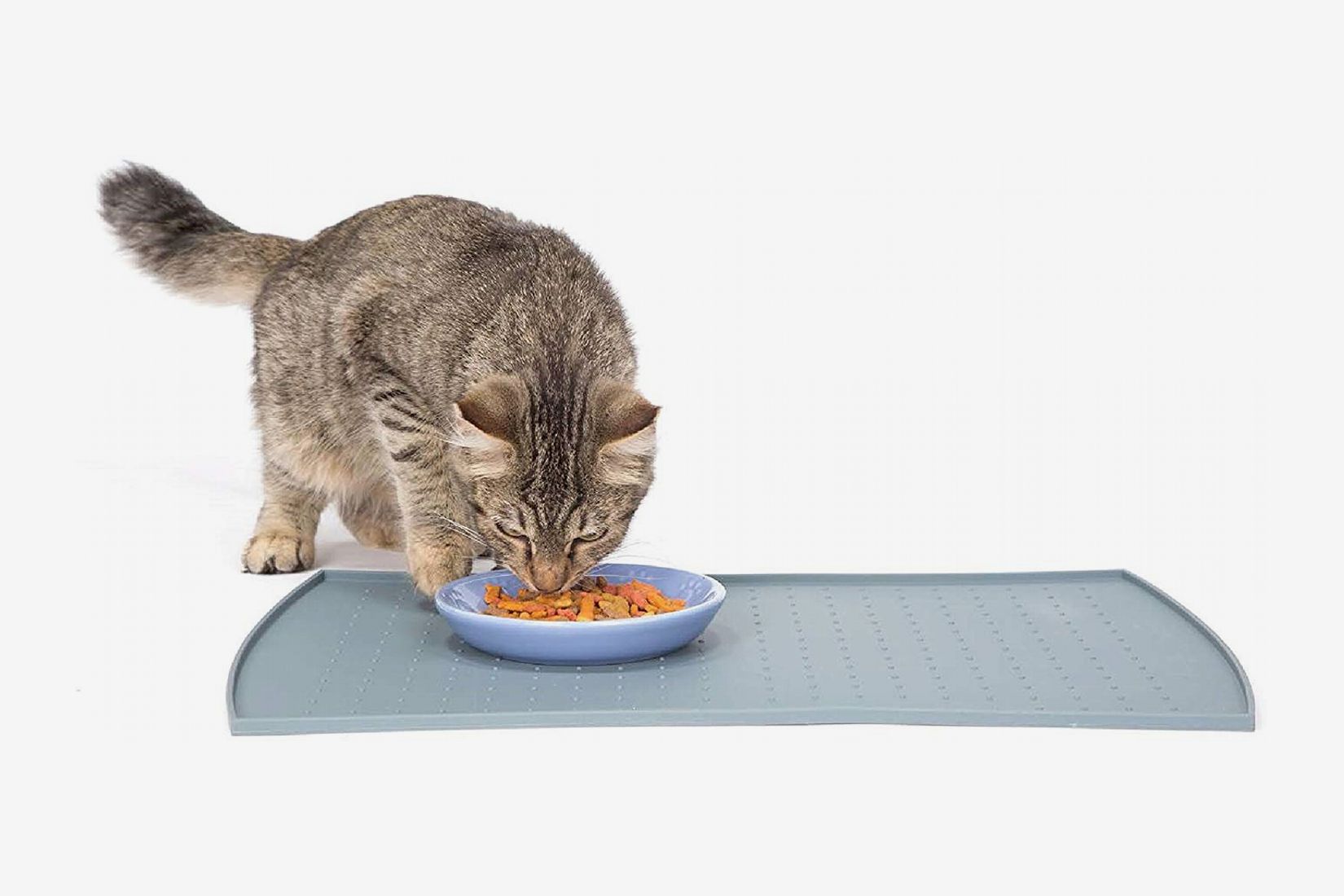 24 Best Cat Bowls, Toys, Treats, Trees, and Litter Boxes  The 