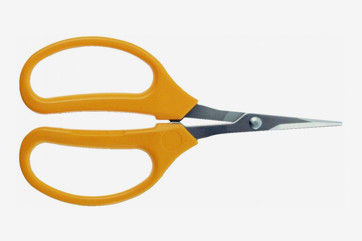 crazy scissors walmart