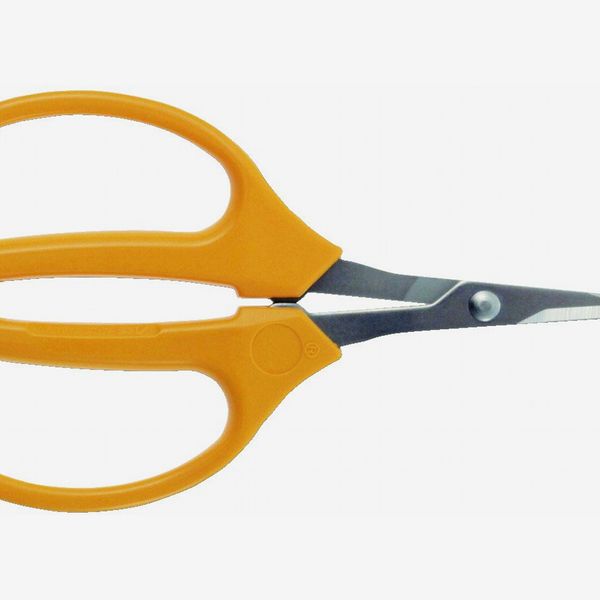 Best Garden Scissors Uk Fasci Garden