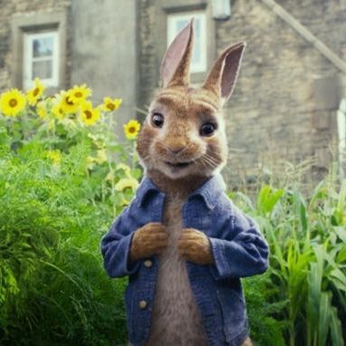 ty peter rabbit characters