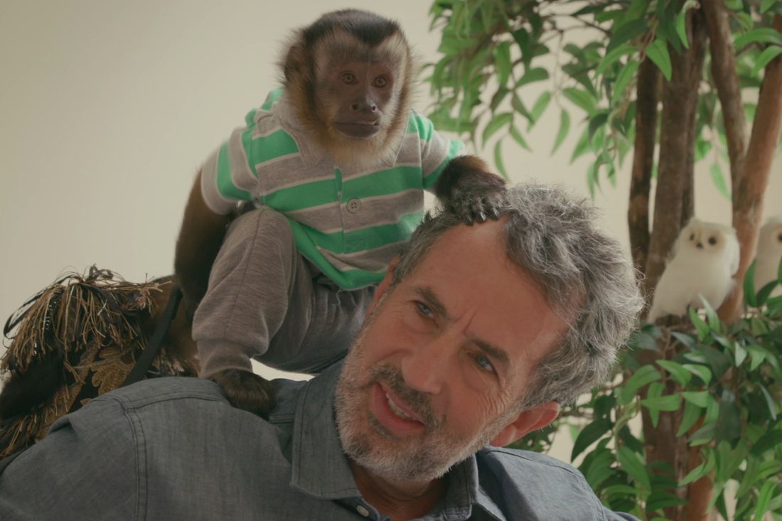 Eric Goode’s Monkey Business