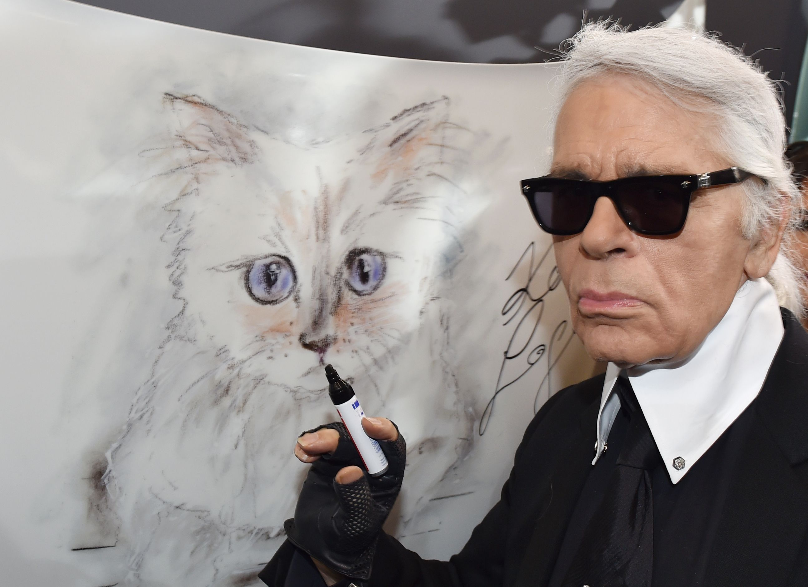 Who's Going to the Met Gala Dressed as Karl Lagerfeld's Cat?