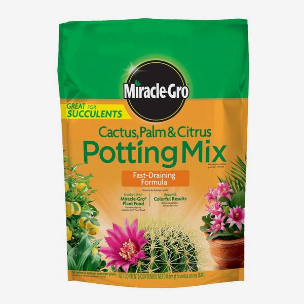 Miracle Gro Cactus, Palm and Citrus Potting Soil Mix – 8-Quart