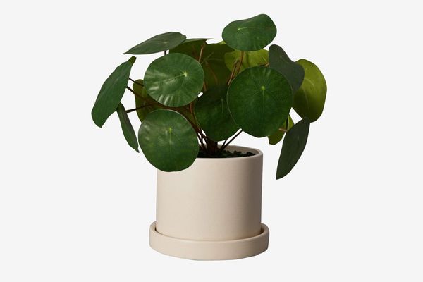 The Sill Faux Pilea Peperomioides in Small Hyde Planter