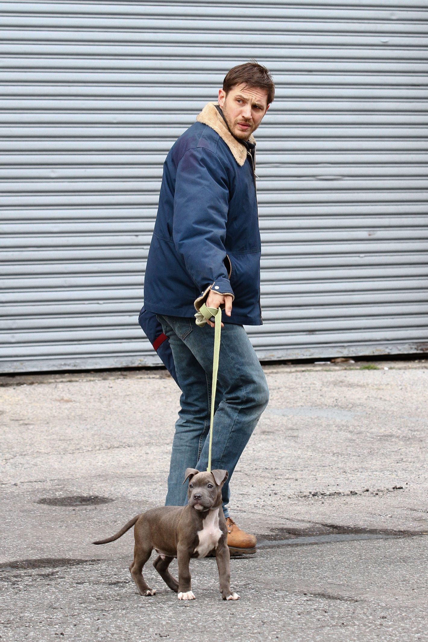 How to Hug a Puppy, by Tom Hardy