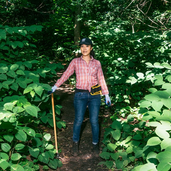 A woman standing in the middle of a forest clearing with tools in her hand and belt.