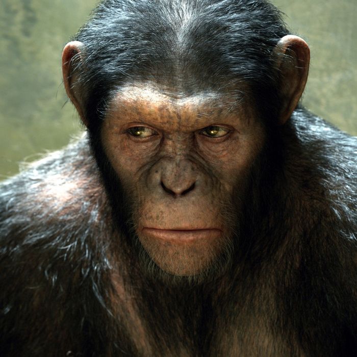 Review Rise of the Planet of the Apes in One Sentence - Vulture