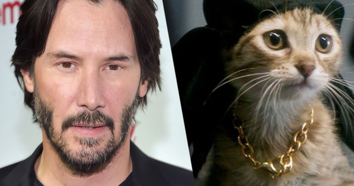 Keanu Reeves Voices Keanu the Cat in the Movie Keanu; That’s 3 Things ...