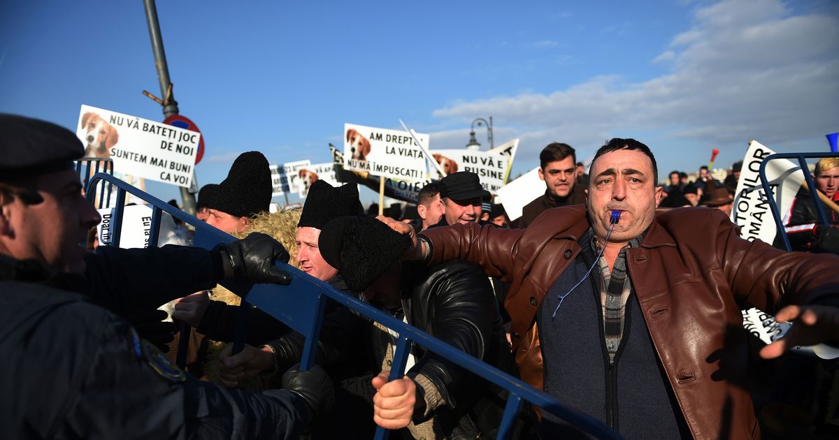 Thousands of Shepherds Storm Romanian Parliament Holding Signs With ...