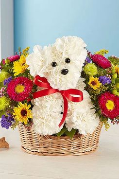 1-800 Flowers A-DOG-able in a Basket