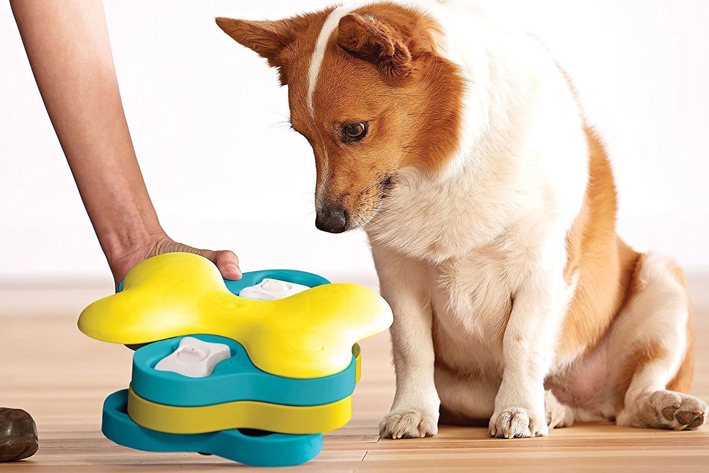 Carrot Stuffer Treat-Dispensing Interactive Dog Toy - Shop Outward