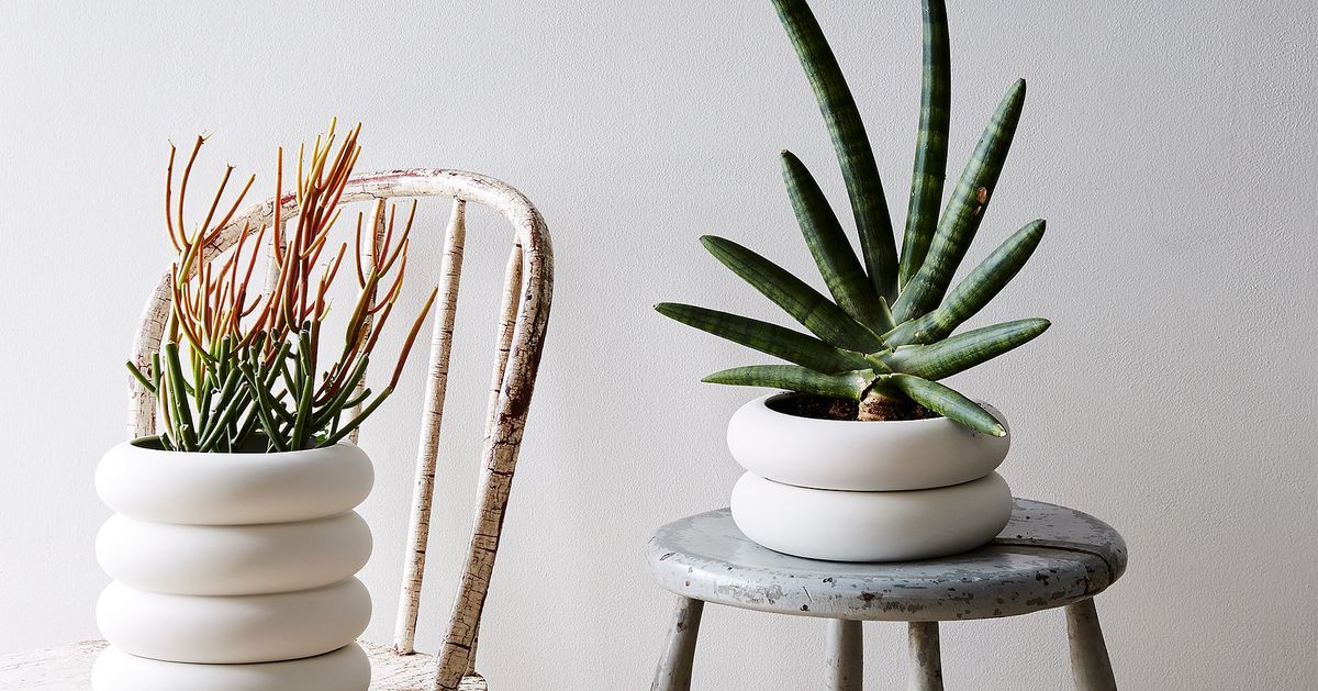 The Best Planters, Reviewed by Status The Strategist