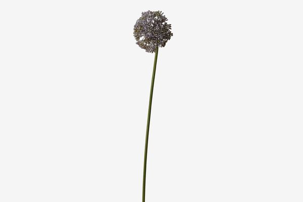 Terrain Faux-Allium Spray