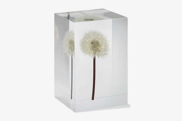 MoMA Dandelion Objet d’Art