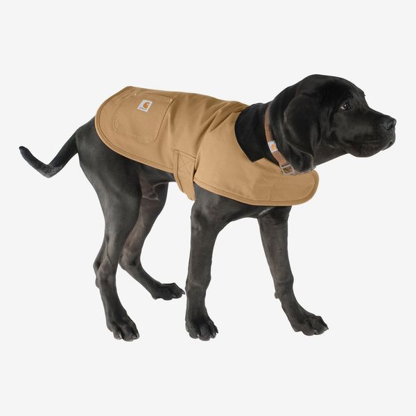 Carhartt Chore Insulated Dog Coat, Medium