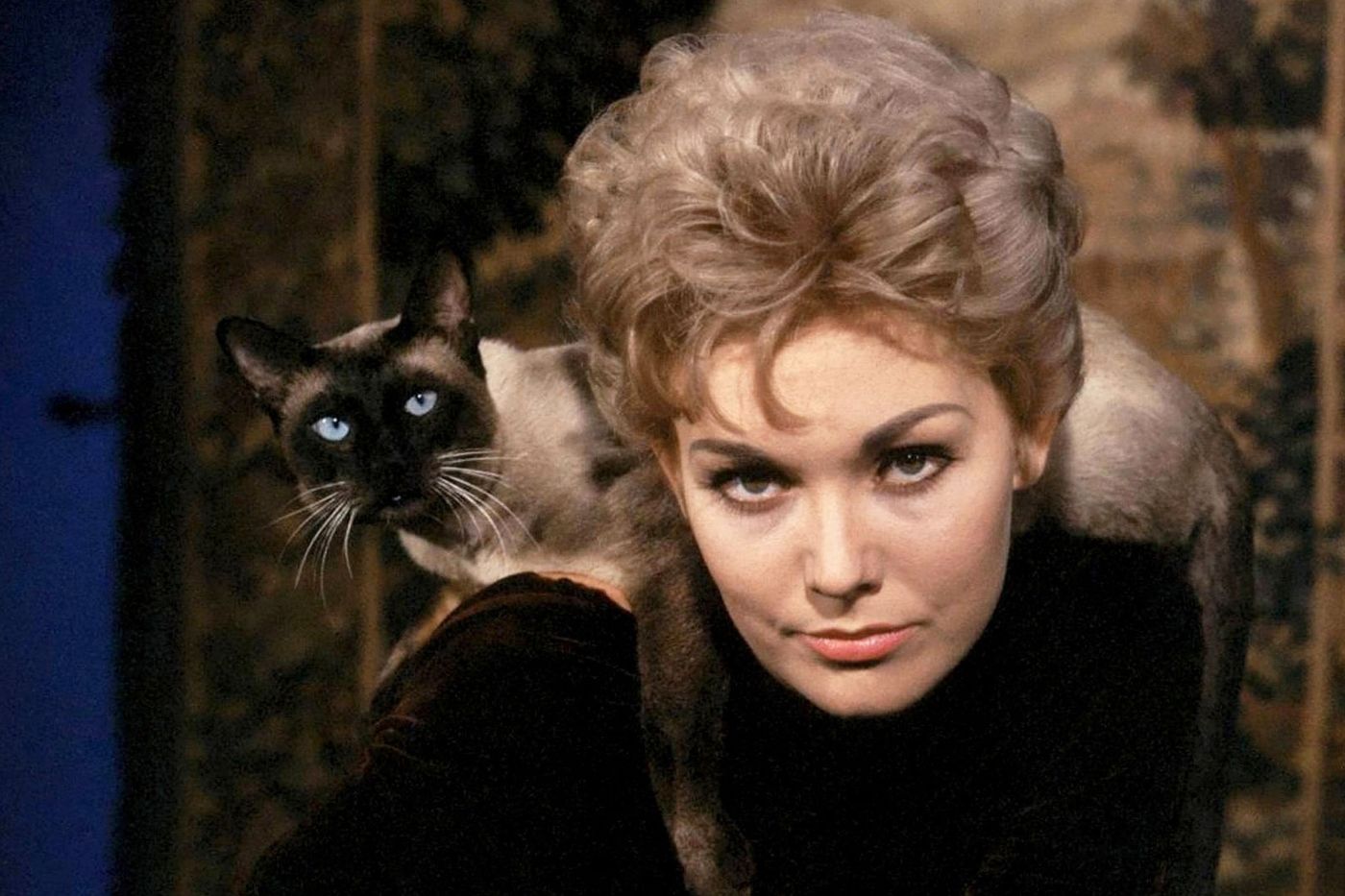 Famous Cat Performances in Movies, Ranked