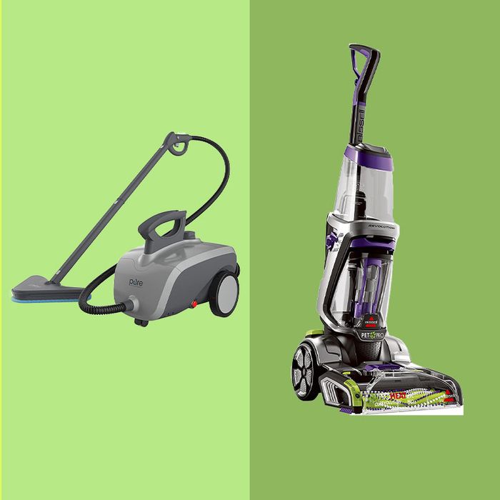 8 Best Carpet Steam Cleaners 2022 | The Strategist